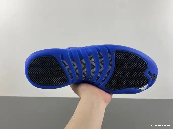 Reps LUCY Air CT8013-140 Blueberry Jordan 12 0607